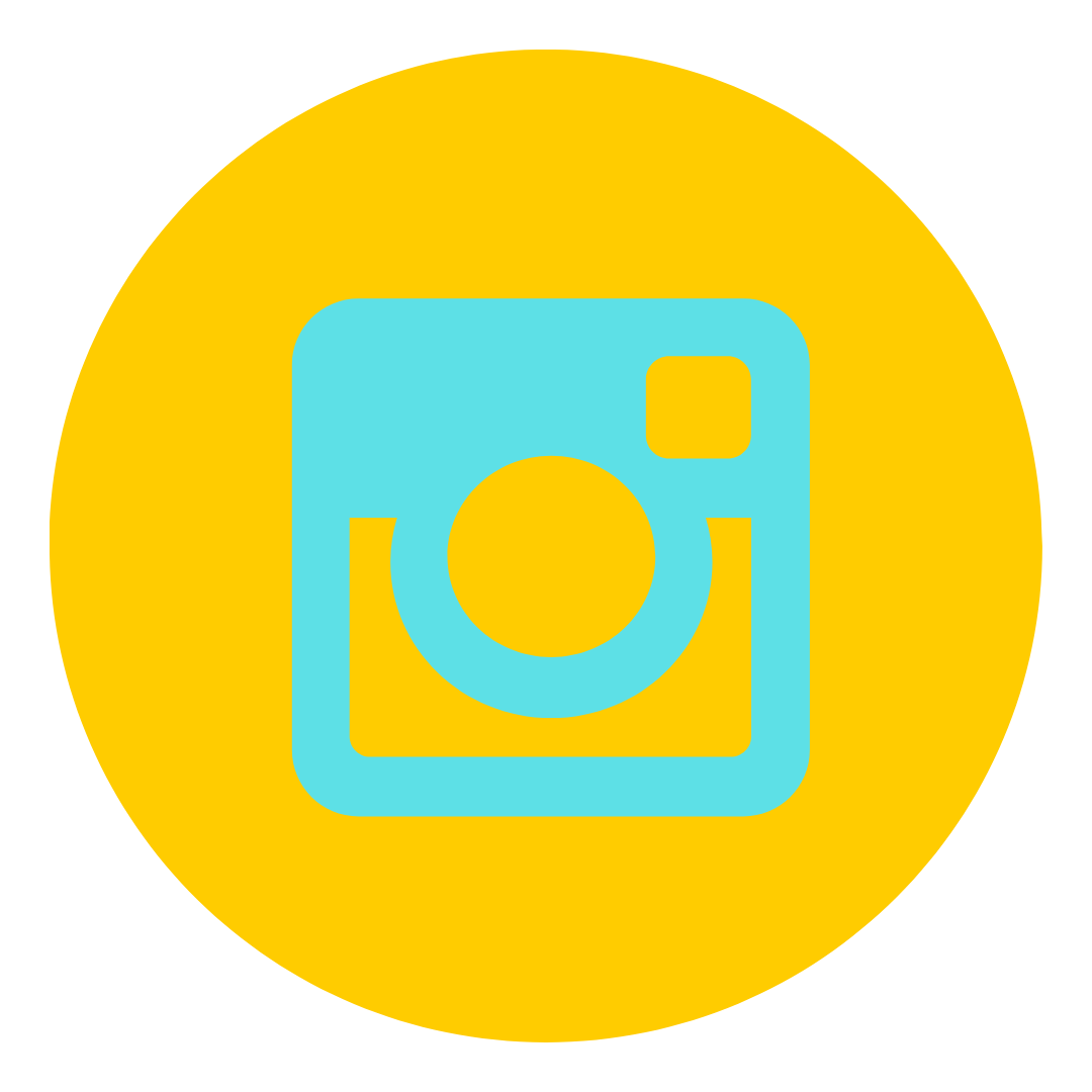 Ícone Instagram
